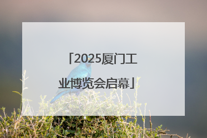2025厦门工业博览会启幕