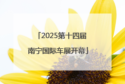 2025第十四届南宁国际车展开幕
