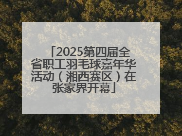 2025第四届全省职工羽毛球嘉年华活动（湘西赛区）在张家界开幕