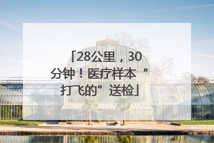 28公里，30分钟！医疗样本“打飞的”送检