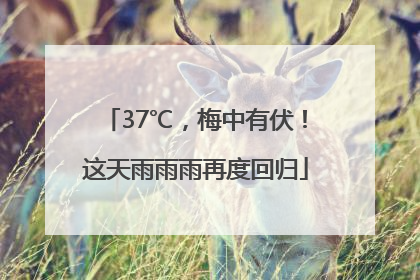 37℃，梅中有伏！这天雨雨雨再度回归