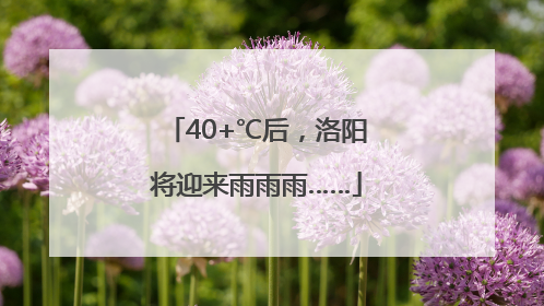 40+℃后，洛阳将迎来雨雨雨……