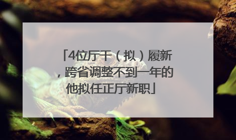 4位厅干（拟）履新，跨省调整不到一年的他拟任正厅新职
