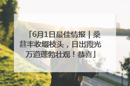 6月1日最佳情报｜桑葚丰收缀枝头，日出霞光万道蓬勃壮观！恭喜
