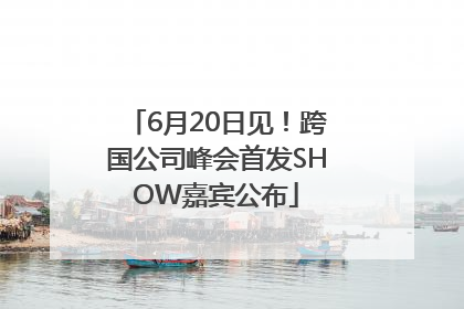6月20日见！跨国公司峰会首发SHOW嘉宾公布