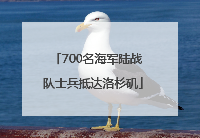 700名海军陆战队士兵抵达洛杉矶