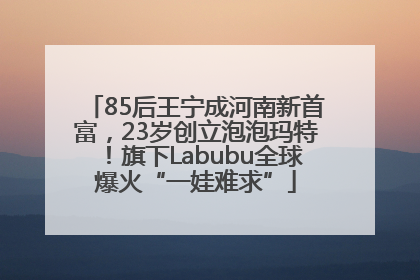 85后王宁成河南新首富，23岁创立泡泡玛特！旗下Labubu全球爆火“一娃难求”