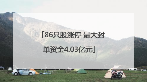 86只股涨停 最大封单资金4.03亿元
