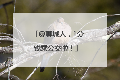 @聊城人，1分钱乘公交啦！