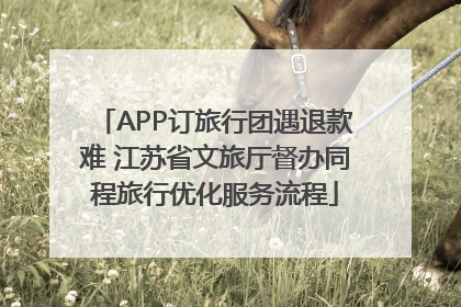 APP订旅行团遇退款难 江苏省文旅厅督办同程旅行优化服务流程
